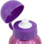 Waterfles Disney Princess CZ11260 530 ml Roze Aluminium
