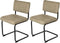 Feel Furniture - Luxe stoel - Ribbon - Taupe - 2 stuks