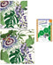 Bijenwasdoeken Set van 2 | Medium & Large