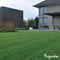 Schaduwgazon Graszaad (5kg, 250m2) - Graszaad Schaduw - Graszaad Snelkiemend - Organifer Elegant - Schaduw Graszaad - NAK Gecertificeerd - Zeer hoge schaduw en droogte tolerantie - Ideaal voor Aanleg & Herstel in Schaduw
