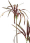 PTMD Leaves Plant Burgundy Yucca Spray