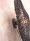 GOOD&MOJO Wandlamp Zanzibar - Rotan Zwart - Ø40cm - Binnen Modern