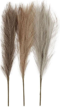 Creativ Company Pampasgras, l: 50 cm, lichtbeige, lichtbruin, lichtgrijs, 3 stuk / 1 bundel