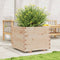 vidaXL - Plantenbak - 60x60x49,5 - cm - massief - grenenhout