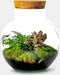 Growing Concepts DIY Duurzaam Ecosysteem Bol - H30xØ18cm