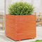 vidaXL - Plantenbak - 70x70x72,5 - cm - massief - grenenhout - wasbruin