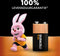 Duracell Plus 100 - 9V Alkaline Batterij - Lange levensduur - Zwart