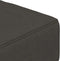 vidaXL - Slaapbank - 2-zits - met - 2 - kussens - fluweel - donkergrijs