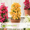 Plant in a Box - Bougainvillea 'Dania' - Bougainvillea op rek - Gele bloemen - Klimplant - Tuinplant - Pot 17cm - Hoogte 50-60cm