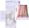 Thea Gouverneur - Borduurpakket met telpatroon - 1070A - Voorgesorteerde DMC Garens - Flamingo - Aida - 38 cm x 65 cm - DIY Kit