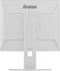Iiyama ProLite B1980D-W5 - LCD Monitor 19