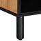 vidaXL - Tv-meubel - 100x33x46 - cm - massief - mangohout - bruin