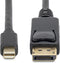 Startech.com MDP2DPMM10 - Mini DisplayPort naar DisplayPort - 4K 60Hz - Zwart