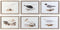 Schilderij DKD Home Decor 70 x 2,5 x 50 cm Traditioneel Vogels (6 Onderdelen)