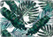 Lunso Geschikt voor MacBook Pro 13 inch (2016-2020) vinyl sticker - Green Leaves