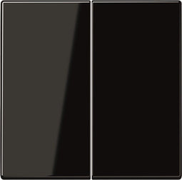 Jung LS990 Bedieningselement/Centrale Plaat LS995SW - E2AK5