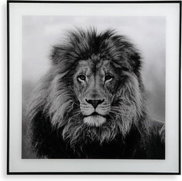 Schilderij Versa Leeuw Kristal (2 x 50 x 50 cm)