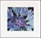 Thea Gouverneur - Borduurpakket met telpatroon - 489A - Voorgesorteerde DMC Garens - Korenbloem - Aida - 15 cm x 14 cm - DIY Kit