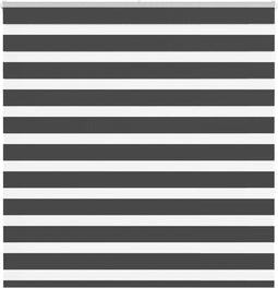 vidaXL - Zebra - rolgordijn - 150x150 - cm - stofbreedte - 145,9 - cm - zwart