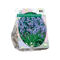 Scilla Hispanica, Blauw - 1 x 15 stuks