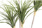 PTMD Dracaena Kunstplant - 80 x 65 x 140 cm - Kunststof - Groen