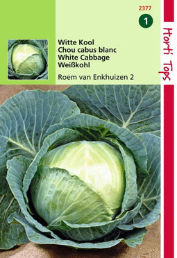 2 stuks - Hortitops - HT Wittekool Roem van Enkhuizen 2