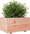 vidaXL - Plantenbak - 90x60x49,5 - cm - massief - douglashout
