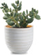 Jodeco Plantenpot/bloempot Beau - wit/goud - keramiek - D14 x H16 cm - hotel chique