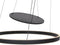 Steinhauer Ringlux - Hanglamp - 60 cm - ingebouwde LED-module - zwart - 3514ZW