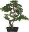 J-Line plant Podocarpus Bonsai - kunststof - groen - large