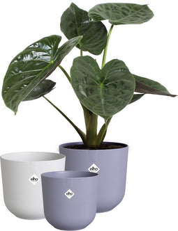 Elho Jazz Rond - Bloempotten voor Binnen - 100% Gerecycled Plastic - Ø 14 16 19 cm - Multicolour (set van 3)