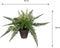 Mica Decorations Stan - Kunstplant Varen - H38 x Ø50 cm - Groen