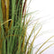 Mica Decorations pluimgras in plastic pot maat in cm: 150 x 45
