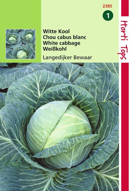 2 stuks - Hortitops - HT Wittekool Langedijker Bewaar