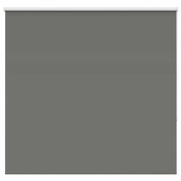vidaXL - Rolgordijn - verduisterend - 165x150 - cm - stofbreedte - 161,6 - cm - grijs