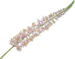 Silk-ka Kunstbloem-Zijden Bloem Eremurus Steel Roze 119 cm