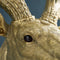 Wandlamp - Dierenlamp Gouden Hert XL