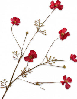 Silk-ka Kunstbloem-Zijden Bloem Cosmos Tak "Real Touch" Rood 77 cm