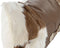 Kussen Home ESPRIT Bruin 50 x 10 x 30 cm