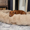 Scruffs Alpine Box Bed - Hondenmand - Luxe imitatiekonijnenbont - Champagne - Large 75 x 60 cm