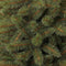 Black Box Trees Toronto Kunstkerstboom Deluxe - H215 cm - groen
