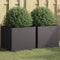 vidaXL - Plantenbakken - 2 - st - 42x40x39 - cm - staal - zwart