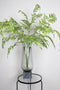PTMD Fern Plant Varen Kunsttak - 81 x 30 x 165 cm - Groen