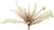 Matteucia fern red 40 cm kunstbloem