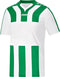 Jako - Shirt Santos Junior - Groen Voetbalshirt - 128 - Groen