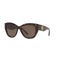 Ralph Lauren Brown Zonnebril RL817554500373