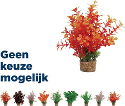 Zolux Ornament pastic plant op stenen vrolijk