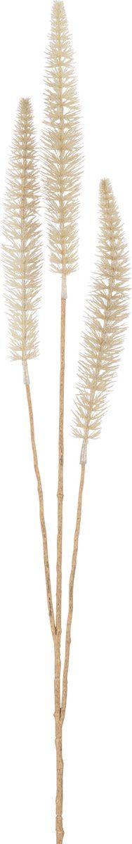 J-Line decoratie Tak Banksia 3 Delig - kunststof - creme/goud - 12 stuks