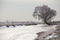 Customize it - Tuinschilderij polder winter 130x70