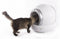 Martin Automatische Kattenbak - 65L - Smart Life-app - Wit